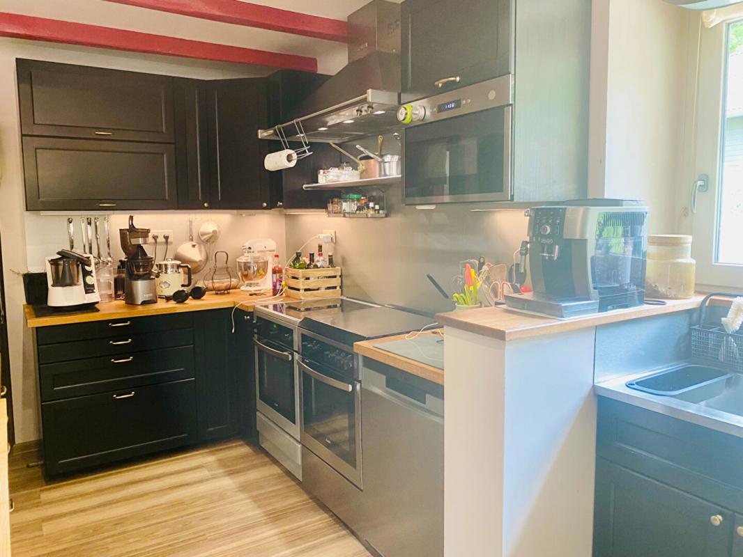MONTAGNA-LE-RECONDUIT Maison bourgeoise 540 M2 au coeur du Revermont 10