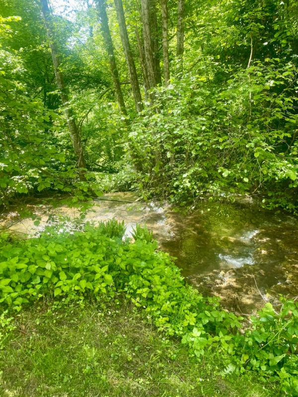 MONTAGNA-LE-RECONDUIT Maison bourgeoise 540 M2 au coeur du Revermont 7