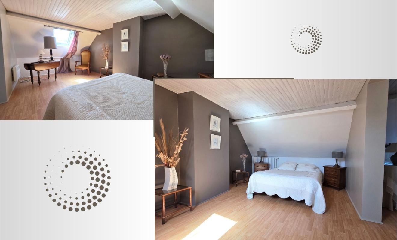 CHARTRES PROCHE CHARTRES - THIVARS - CHARMANTE MAISON DE VILLE de 295 m², 8 pièces 10