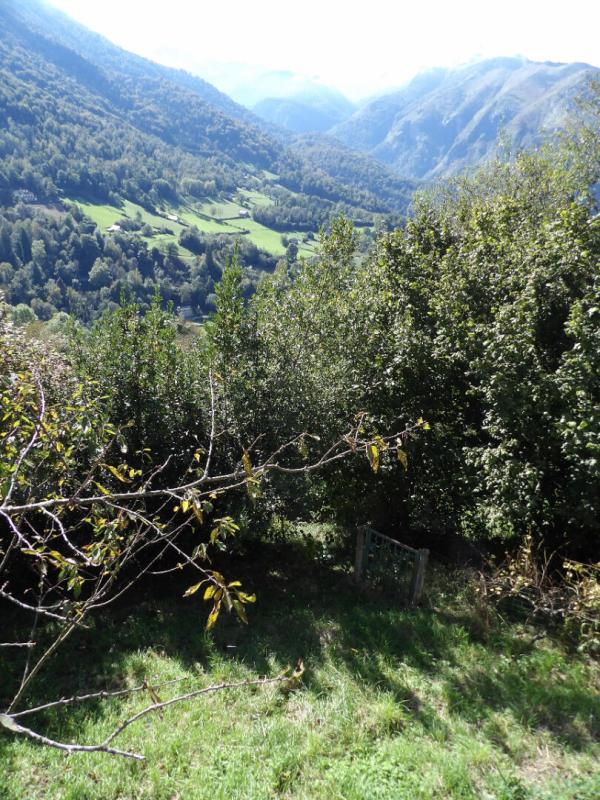 EAUX-BONNES Chalet avec vue exceptionnelle sur les Pyrénées 14