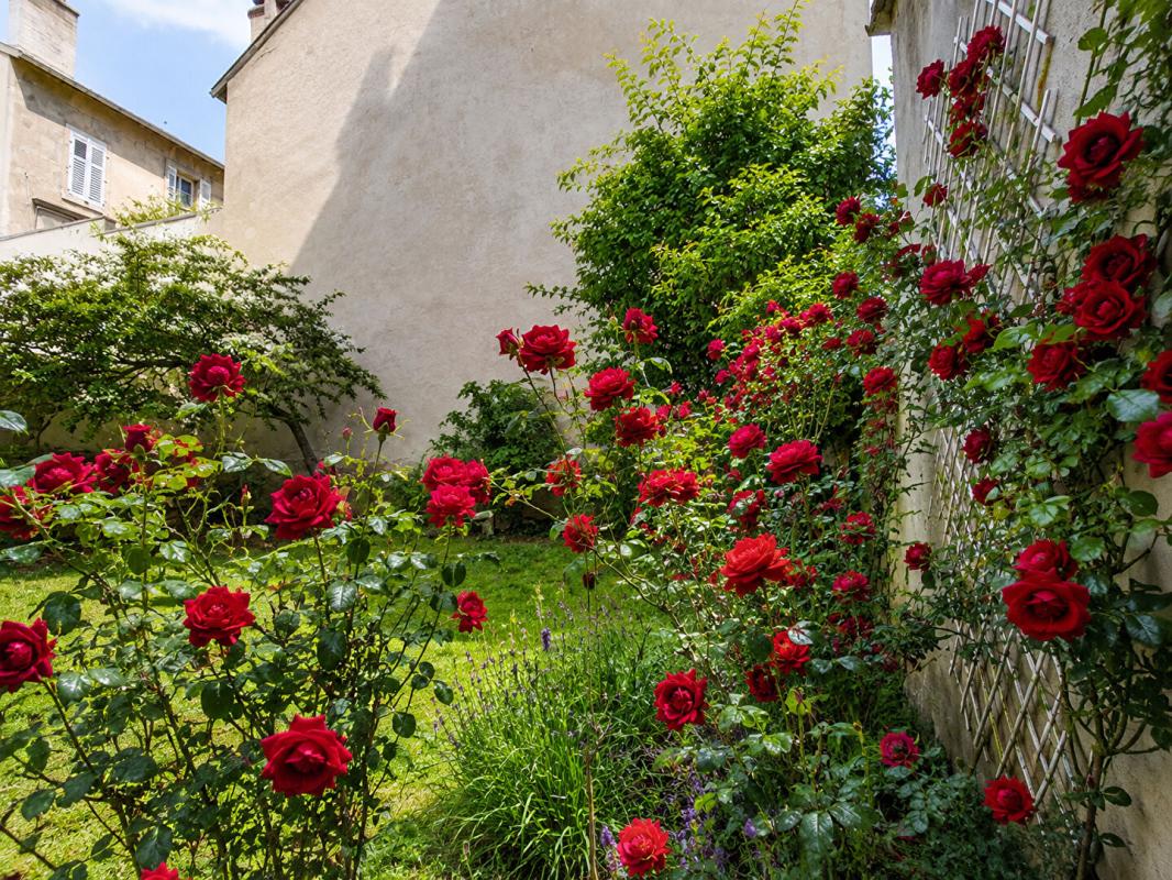 NANCY Appartement de caractère rénové ,134 m², 3 chambres, 2 caves, 1 grenier, 1 jardin en rez-de- chaussée 2