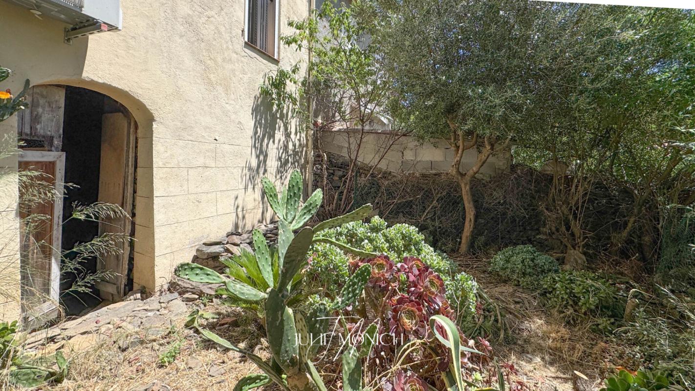 BANYULS-SUR-MER APPARTEMENT 2 CHAMBRES, CAVES, JARDIN 12