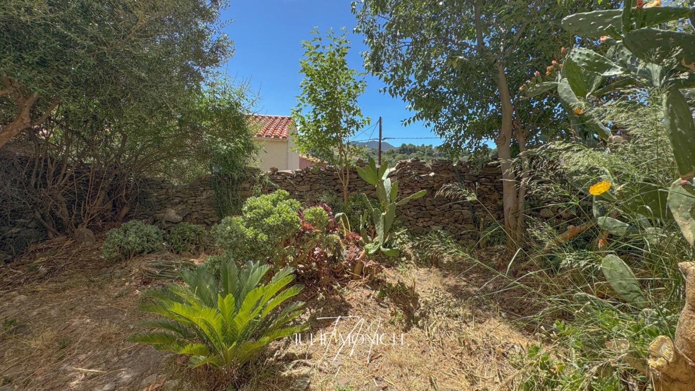 BANYULS-SUR-MER APPARTEMENT 2 CHAMBRES, CAVES, JARDIN 17