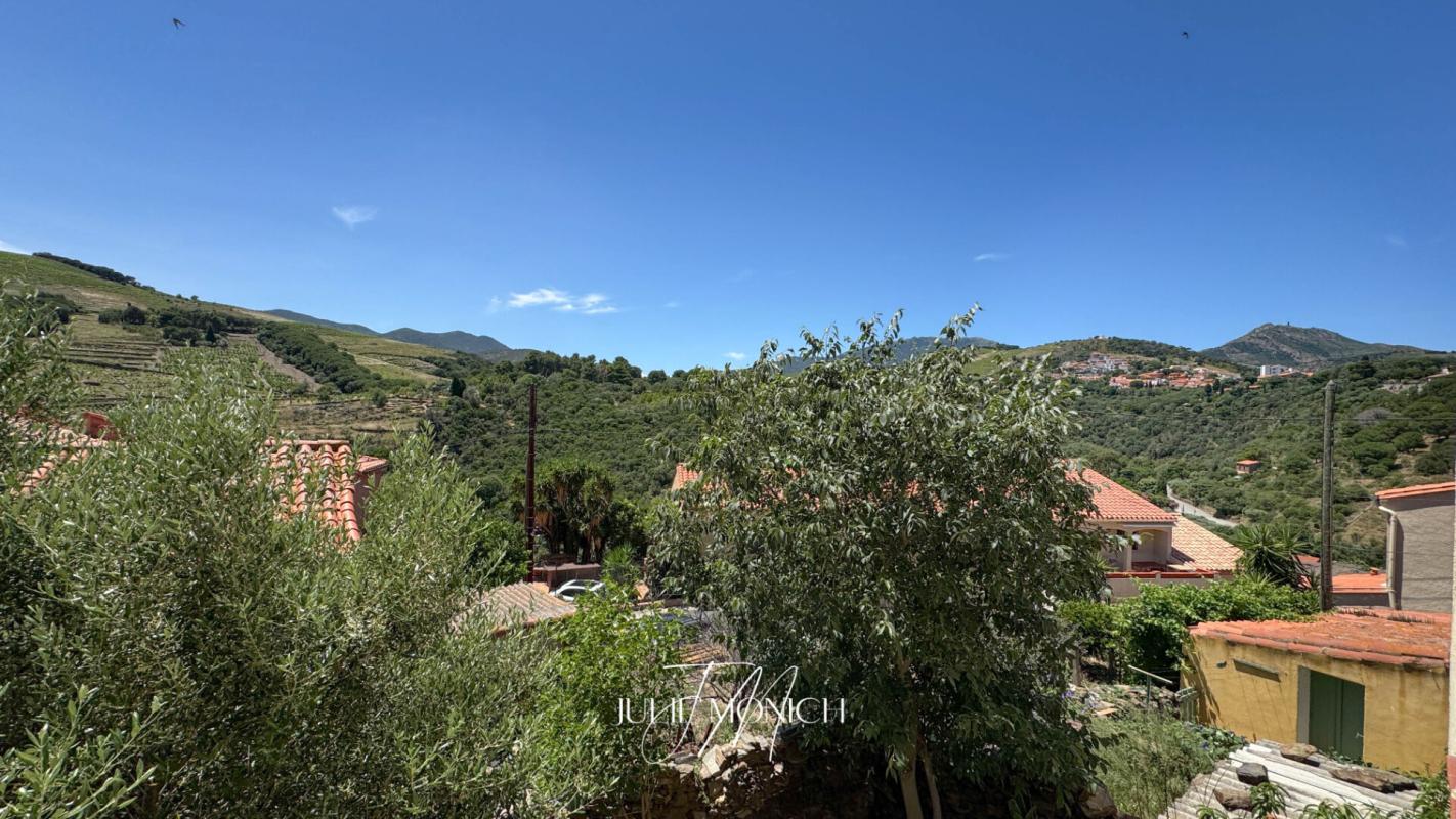 BANYULS-SUR-MER APPARTEMENT 2 CHAMBRES, CAVES, JARDIN 5