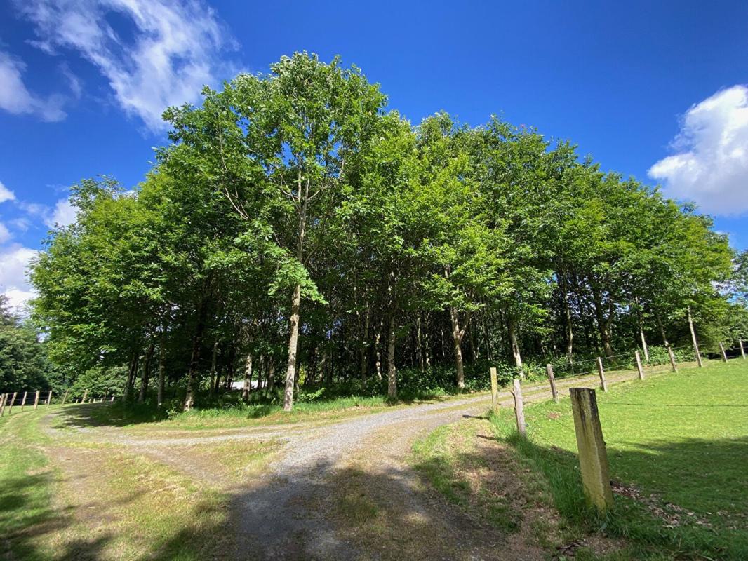SAINT-SEVER-CALVADOS DOMAINE FORESTIER 6