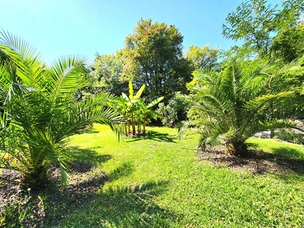 MONTFORT-EN-CHALOSSE Ancienne Ferme Landaise 235 m2 - 2 logements - 3,7 hectares 9