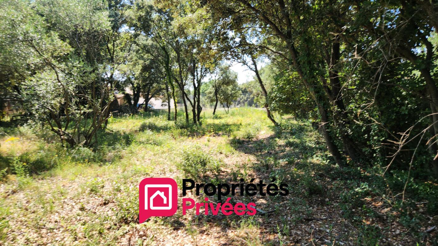 UZES Uzès, terrain de 2600 m2 6