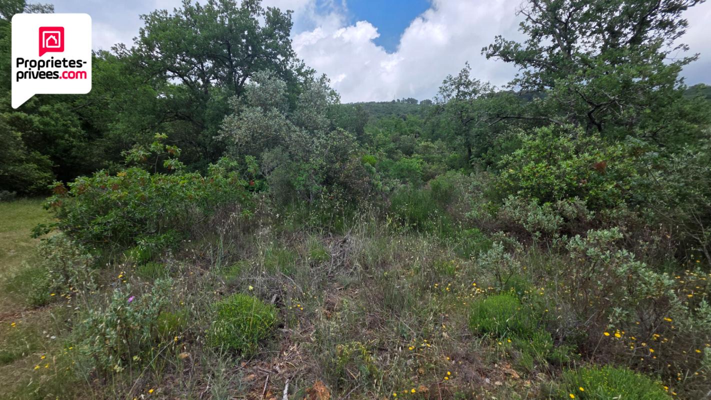 SAINT-CEZAIRE-SUR-SIAGNE Terrain non constructible de 2500 m2 en zone Naturelle 3