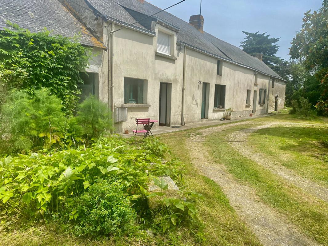 SAVENAY Maison 4 chambres, jardin 1