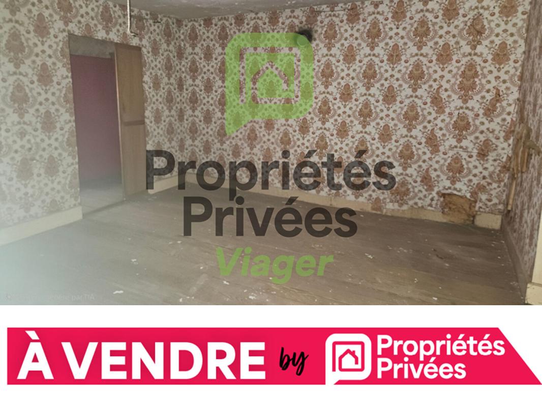 VIOMENIL Maison Viomenil 14 pièce(s) 230 m2, EN VIAGER OCCUPÉ! 11