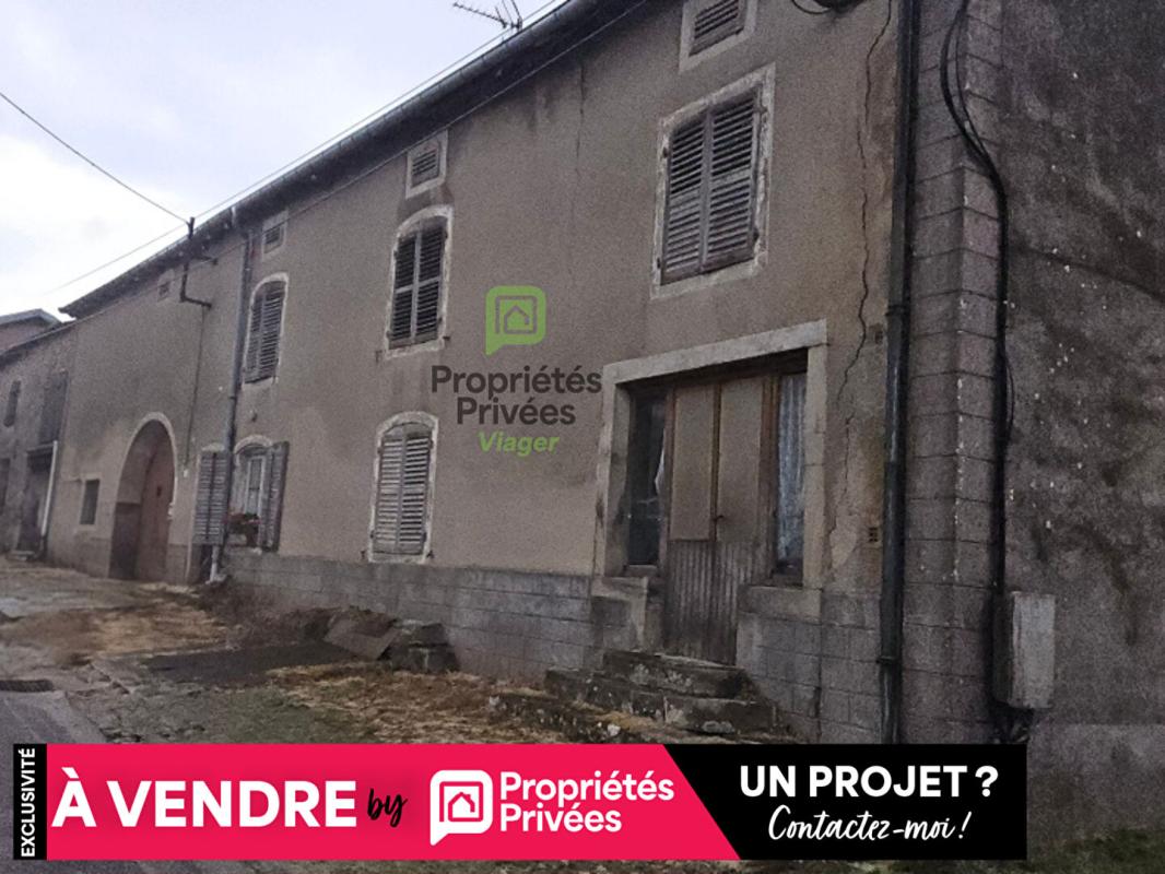 VIOMENIL Maison Viomenil 14 pièce(s) 230 m2, EN VIAGER OCCUPÉ! 2