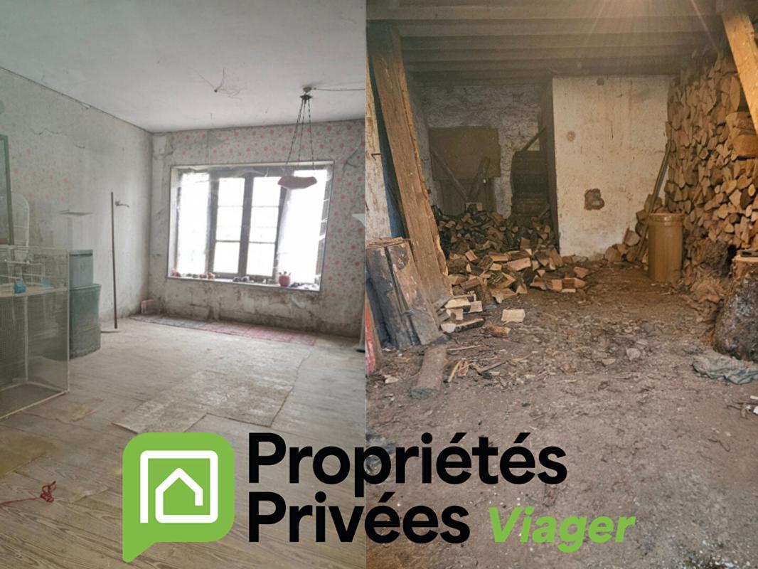 VIOMENIL Maison Viomenil 14 pièce(s) 230 m2, EN VIAGER OCCUPÉ! 5