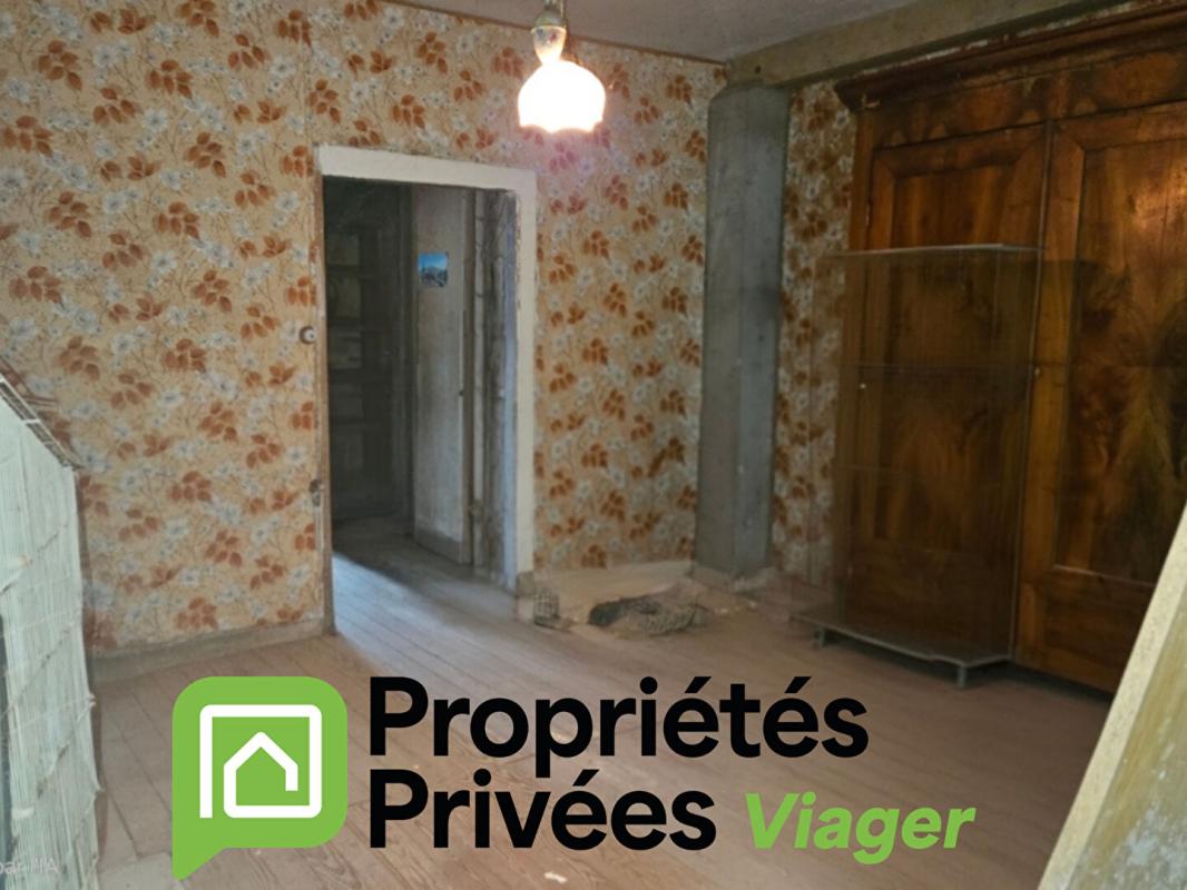 VIOMENIL Maison Viomenil 14 pièce(s) 230 m2, EN VIAGER OCCUPÉ! 6