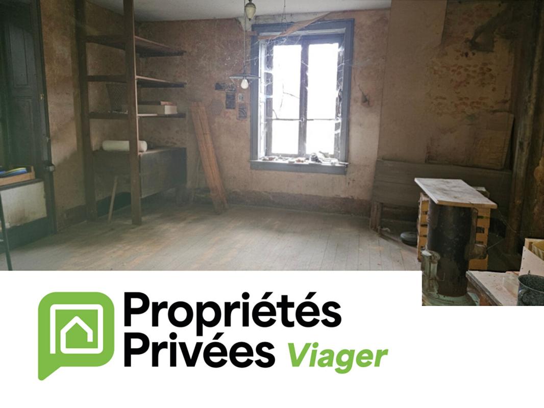 VIOMENIL Maison Viomenil 14 pièce(s) 230 m2, EN VIAGER OCCUPÉ! 7