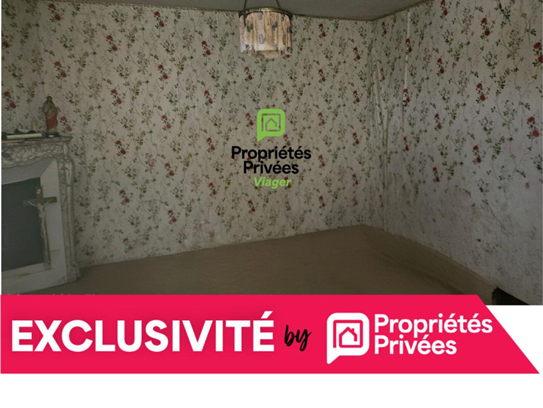 VIOMENIL Maison Viomenil 14 pièce(s) 230 m2, EN VIAGER OCCUPÉ! 9