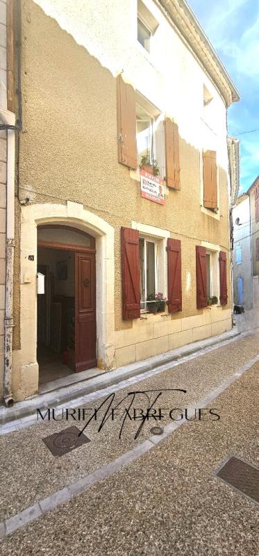 COUIZA Maison 11190 Couiza 1