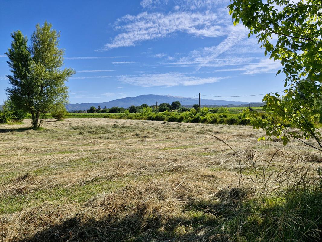 SAINT-PIERRE-DE-VASSOLS Grand mas avec dépendances en campagne au milieu des champs 8