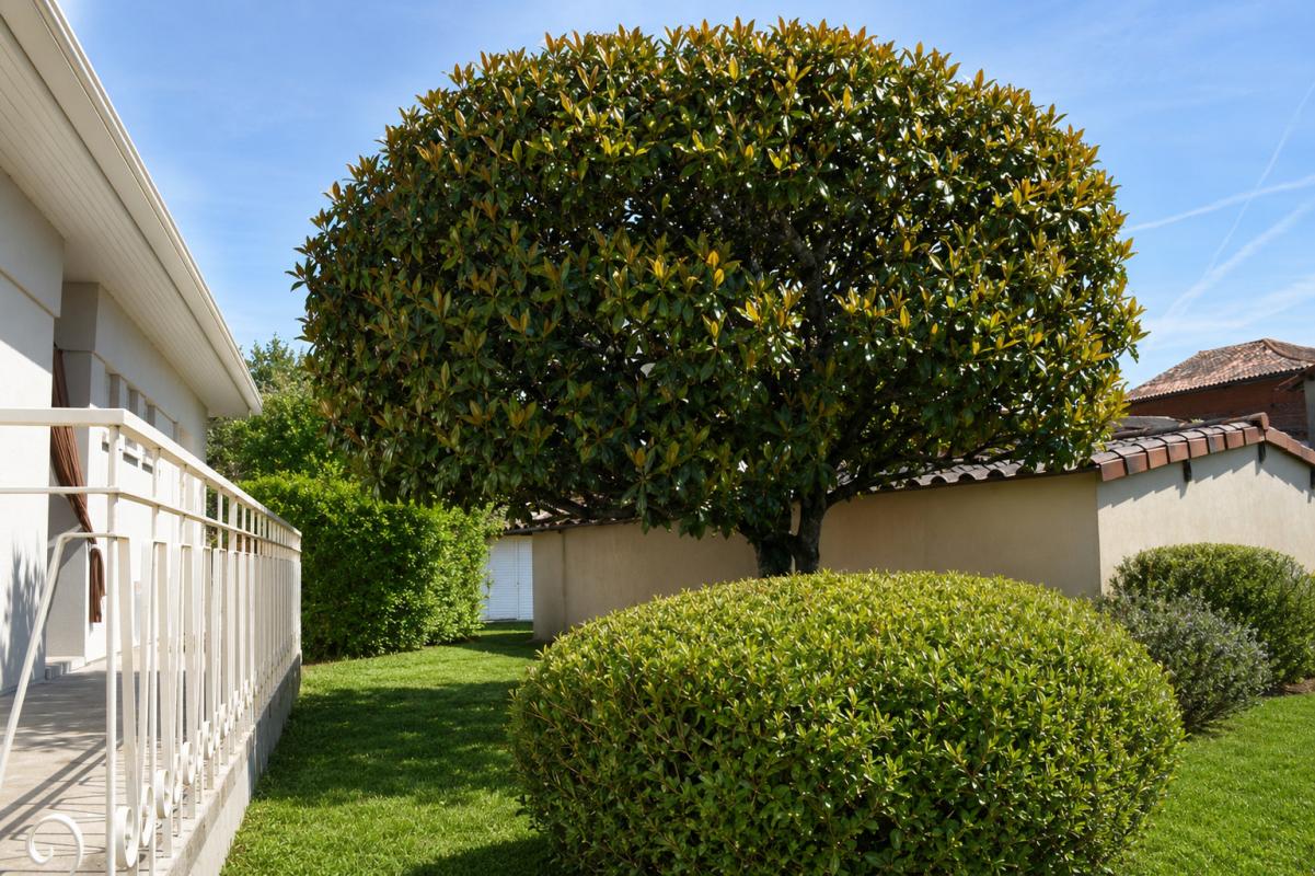 LAFRANCAISE Lafrançaise, 82130 , Tarn et Garonne. Maison  plain-pied  82 m², 5 Pièces , 3 chambres avec jardin privatif et garage fermé 8