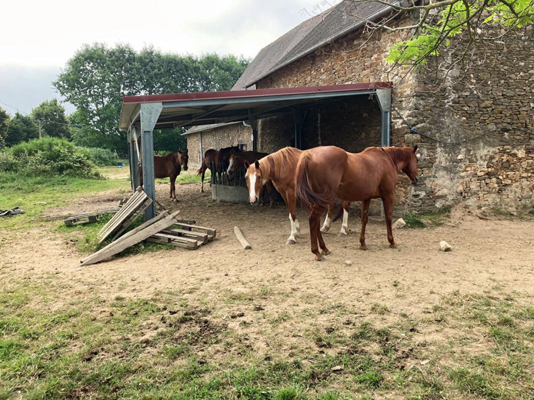 JUMILHAC-LE-GRAND Propriete equestre à Jumilhac Le Grand 12