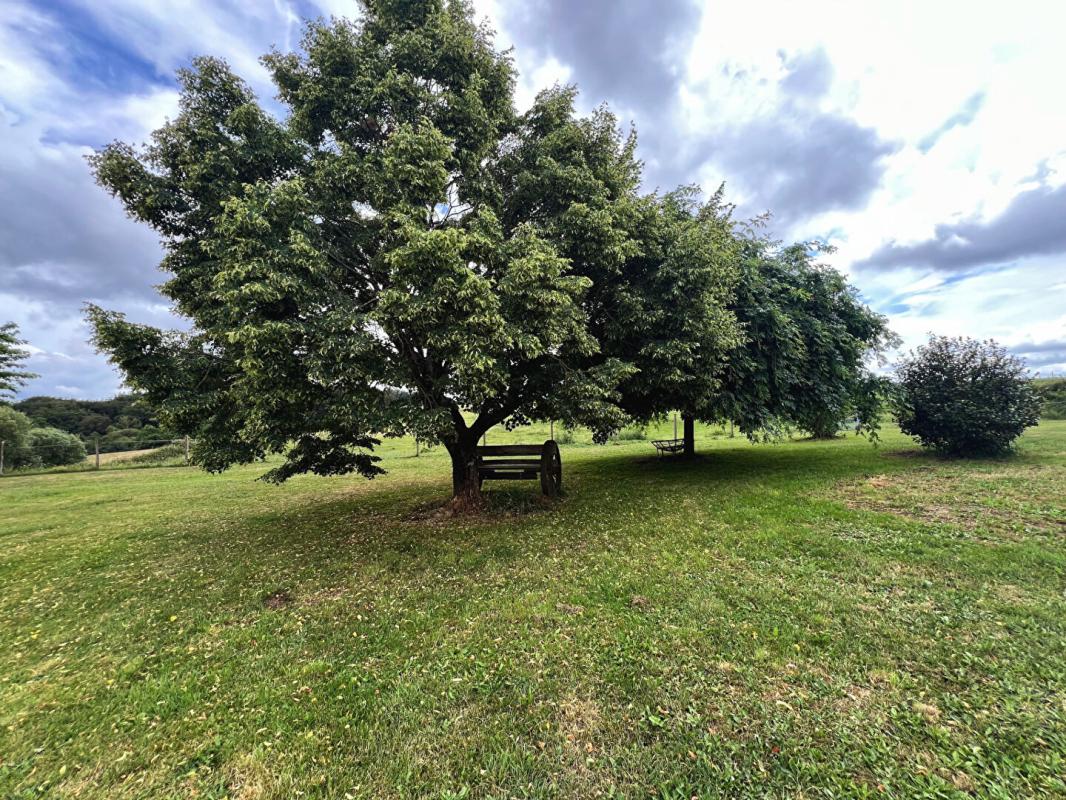 JUMILHAC-LE-GRAND Propriete equestre à Jumilhac Le Grand 13
