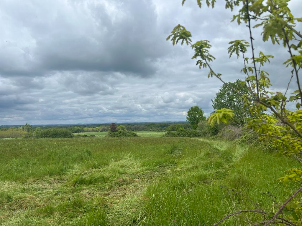 THIVIERS Terrain Thiviers 7410 m2 2