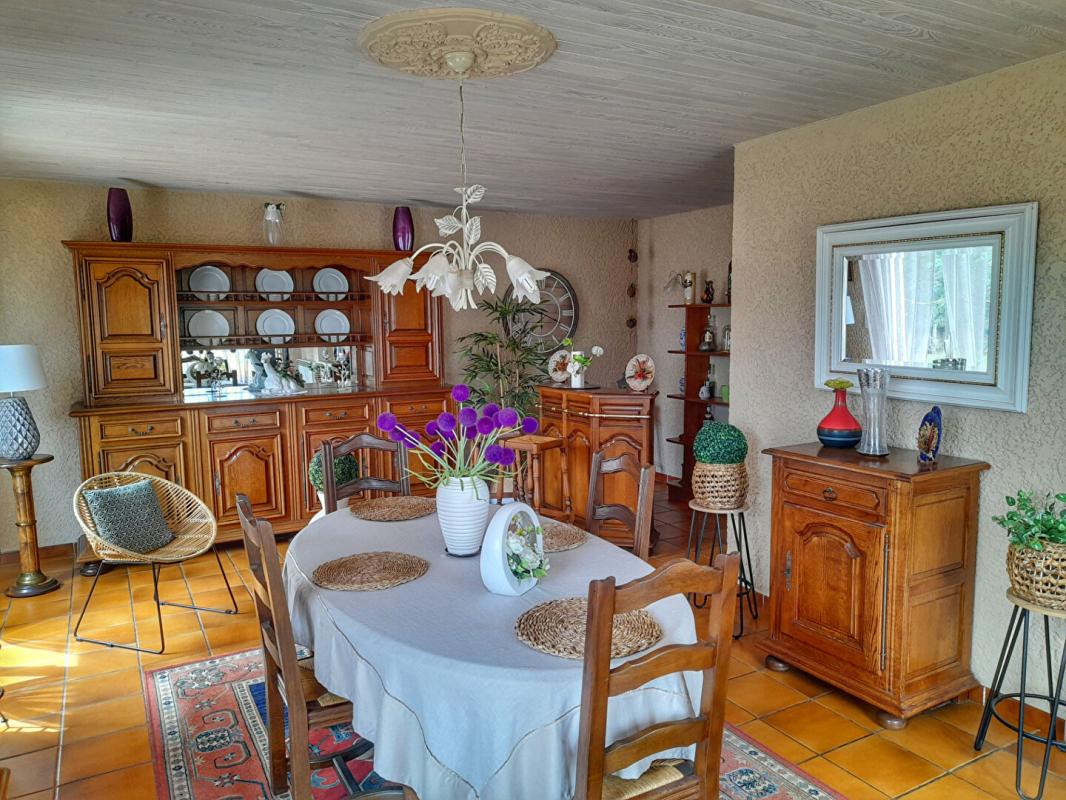 ASSON Villa sur 3 niveaux en face des Pyrénées 6