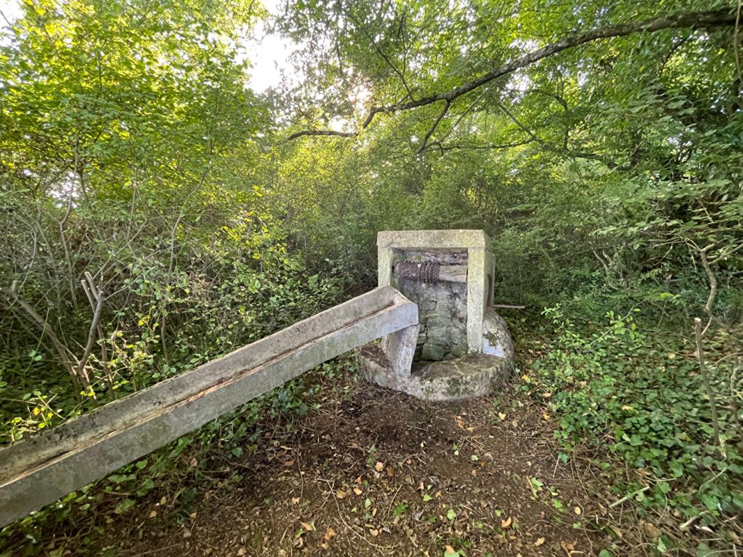 CHATEAUMEILLANT Chateaumeillant Longère idéale pour vos projets 10