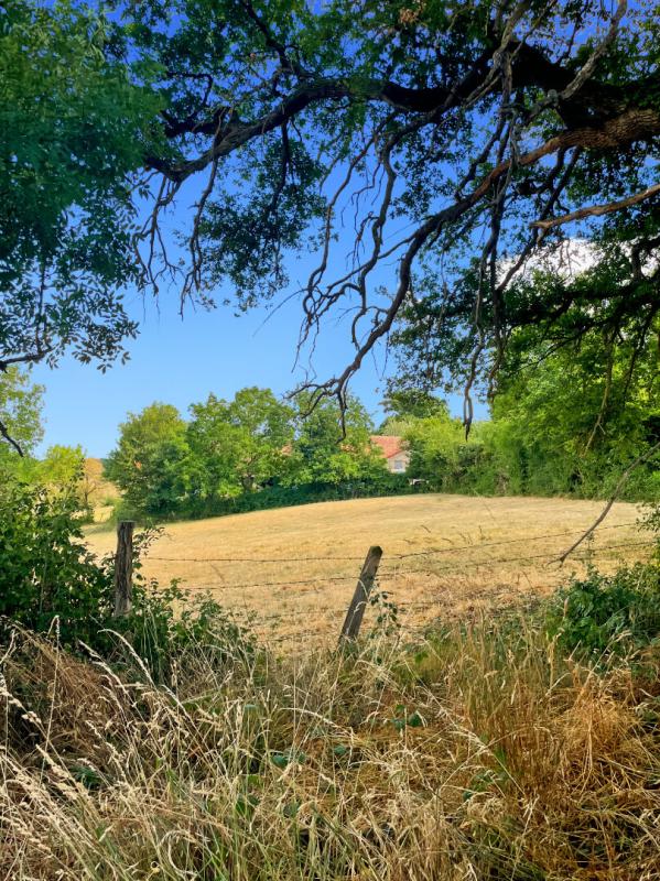 CHATEAUMEILLANT Chateaumeillant Longère idéale pour vos projets 7