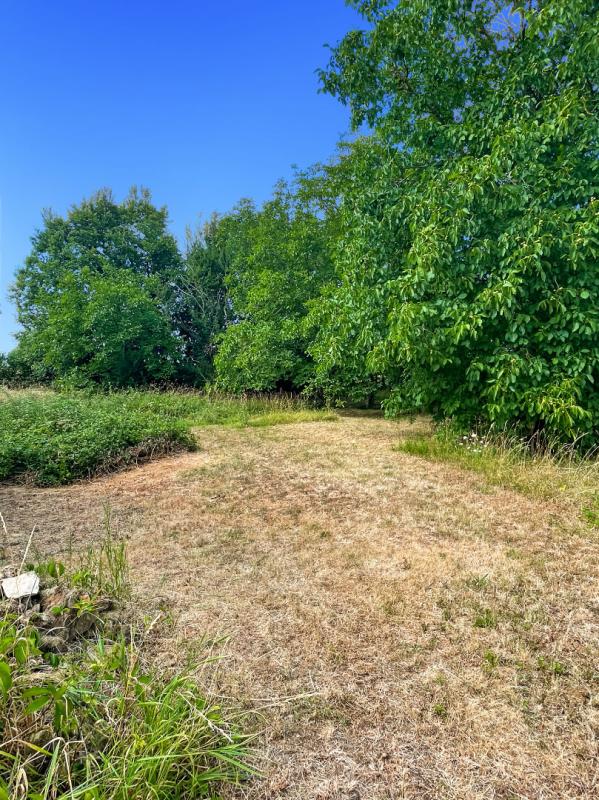 CHATEAUMEILLANT Chateaumeillant Longère idéale pour vos projets 9