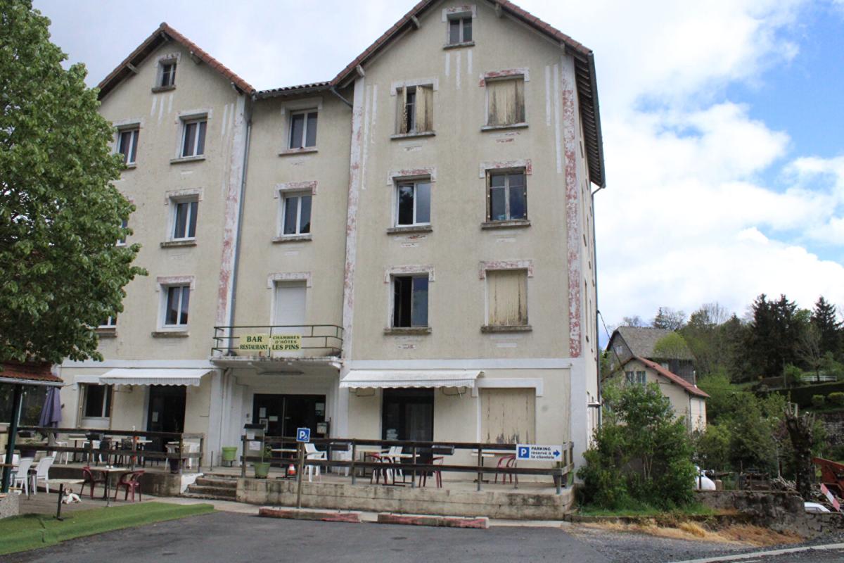 LANGOGNE Murs et fonds de commerce pour cet ancien Hôtel avec activité Bar / Restaurant / Chambres d'hôtes avec Licence IV 1