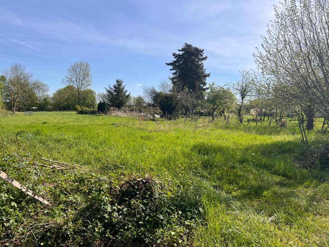 BEAUFAY Terrain à Allotir - Beaufay - 8776 m² 4