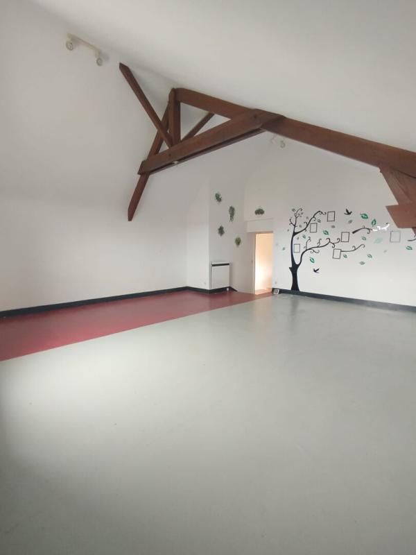 BEAUMONT-LA-RONCE Maison familiale lumineuse 193 m² avec fort potentiel - 4/5 chambres - Grand jardin 10
