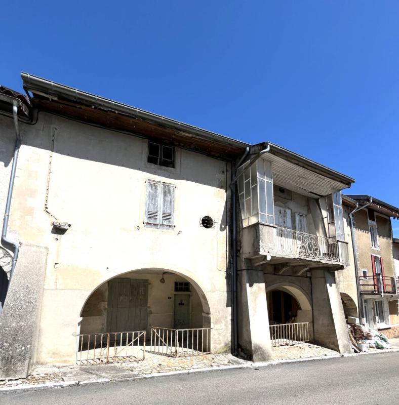 SAINT-JULIEN INVESTISSEURS - IMMEUBLE DE CARACTÈRE À FORT POTENTIEL - Monopropriété 1