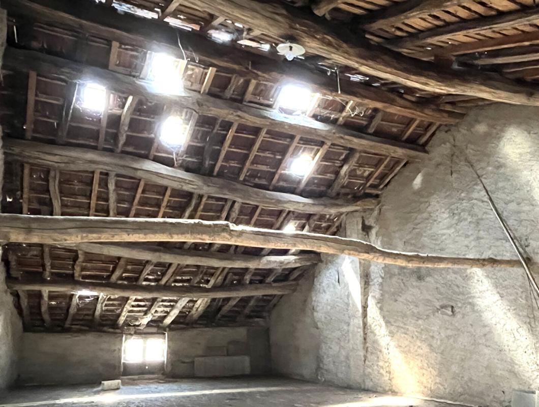 SAINT-JULIEN INVESTISSEURS - IMMEUBLE DE CARACTÈRE À FORT POTENTIEL - Monopropriété 3
