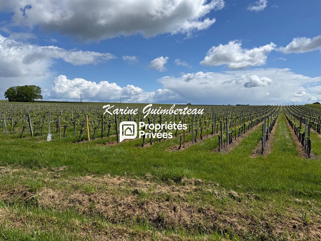LUSSAC Terrain constructible 1077 m2 - Lussac 5
