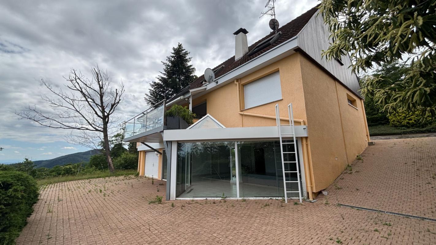NIEDERMORSCHWIHR Maison Niedermorschwihr 6