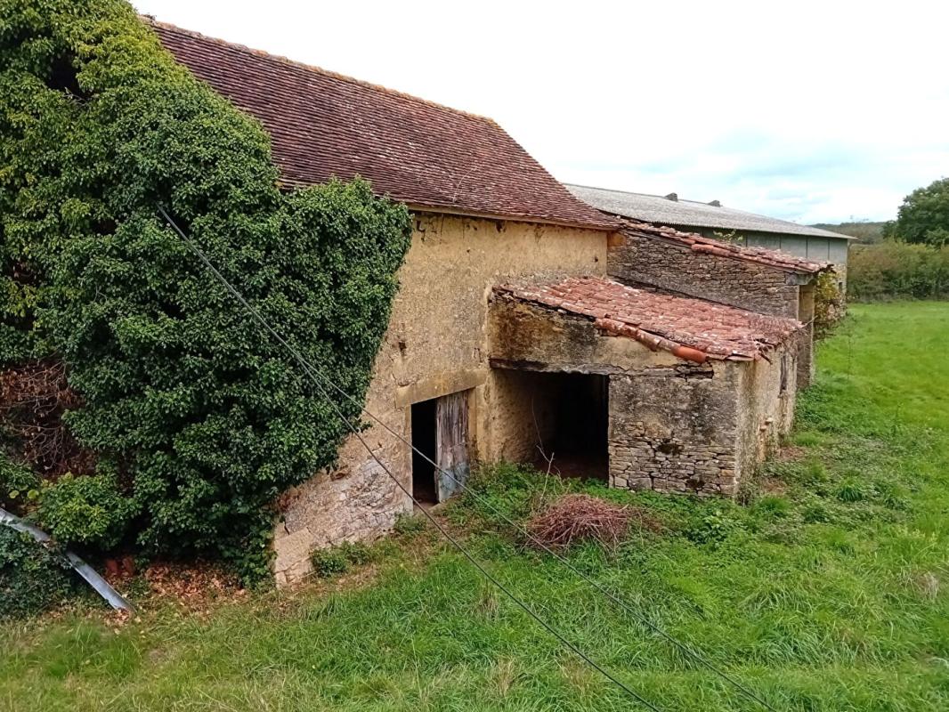 PARISOT Ferme  5 pièces 740m²  2 maisons grange hangar 17