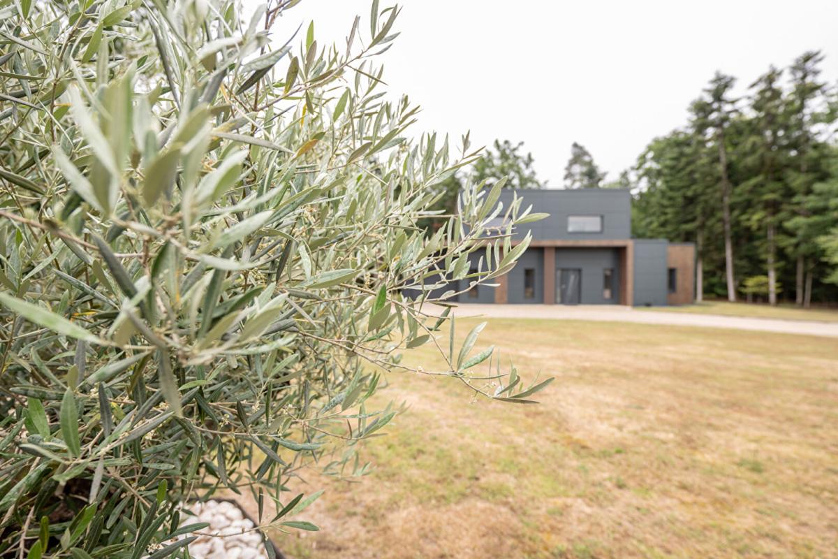 CROUY-SUR-COSSON LIEUX UNIQUES ® PROPOSE MAISON D'ARCHITECTE 146.20 M² - TERRAIN 5.000 M² - 41220 - CROUY S/COSSON 4