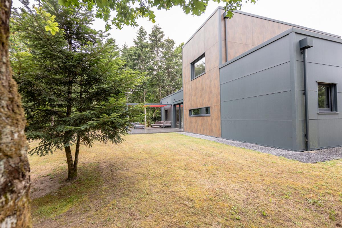 CROUY-SUR-COSSON LIEUX UNIQUES ® PROPOSE MAISON D'ARCHITECTE 146.20 M² - TERRAIN 5.000 M² - 41220 - CROUY S/COSSON 6