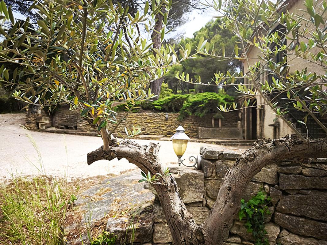 CARPENTRAS TOUTE LA PROVENCE SANS VIS A VIS 11
