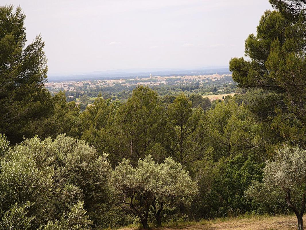 CARPENTRAS TOUTE LA PROVENCE SANS VIS A VIS 15