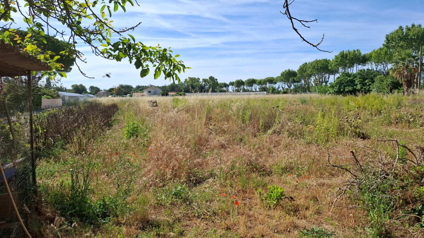 HYERES Maison à rénover - Hyères Olbius Riquier-126 m2 avec 11 800 m2 de terrain agricole 4