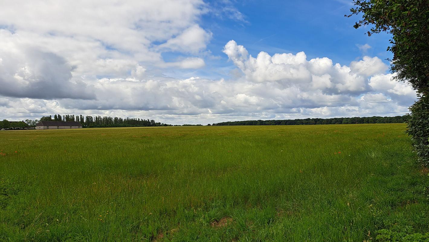 COIGNIERES Maison Coignières 142 m² Terrain 649 m² 10