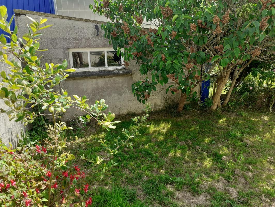 CROZON Maison mitoyenne 4 chambres à Crozon (29 160) 3