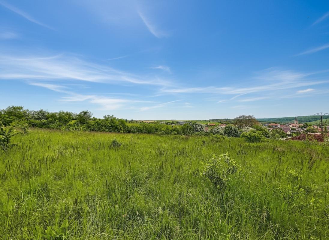 FRANCHEVILLE TERRAIN CONSTRUCTIBLE - 25 MIN de DIJON 1