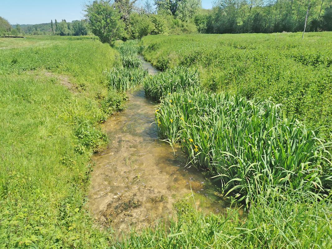 SAINT-GENIES Propriété St Genies 5 pièce(s) 160 m2 11
