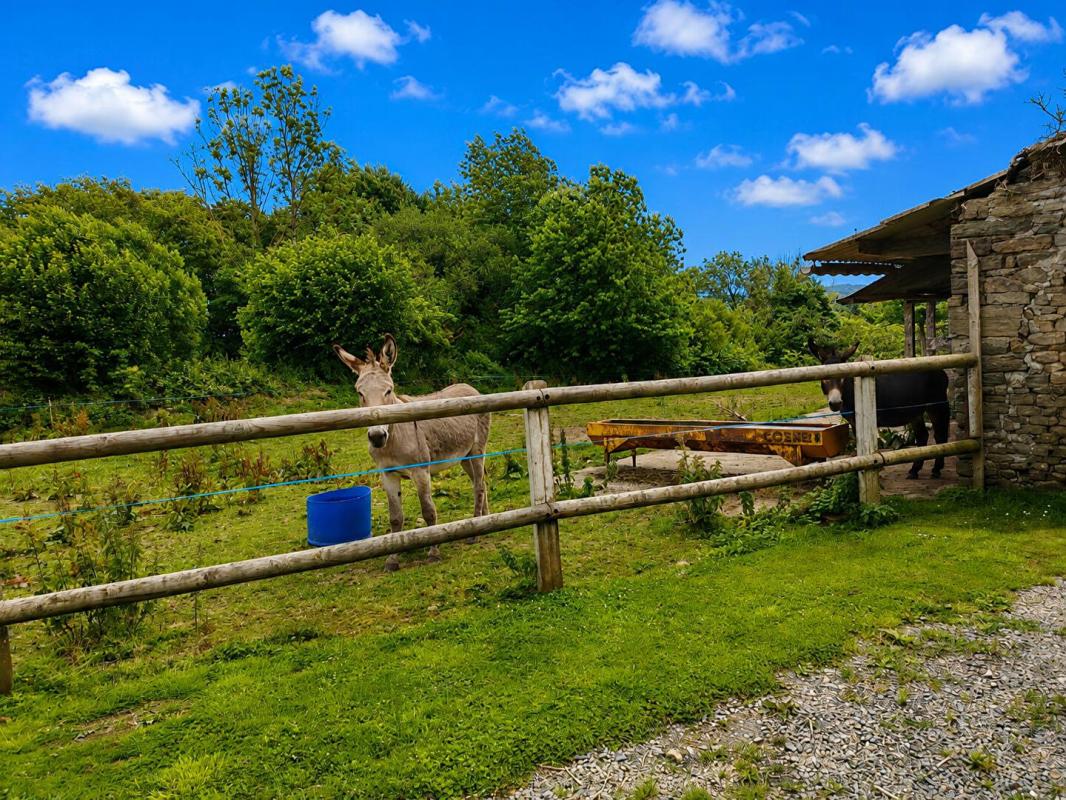 VILLEBAUDON En Basse Normandie : Manoir de 331m2 de 8 pièces sur plus de 6 hectares ! Belle rénovation ! 17