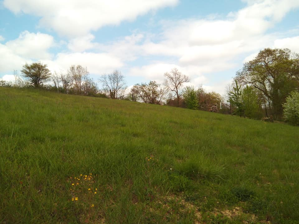 FLEURANCE Terrain 1594m² Fleurance (32500)  parcelle 4