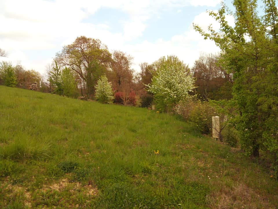 FLEURANCE Terrain 1594m² Fleurance (32500)  parcelle 6