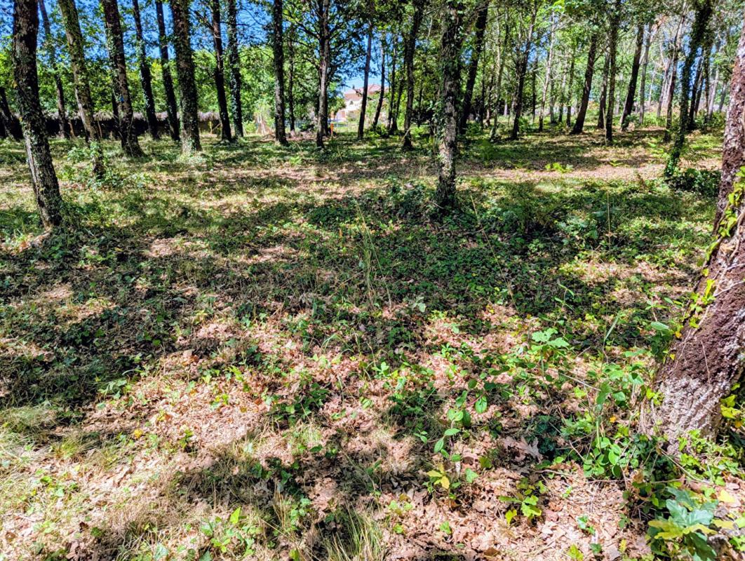 BELIN-BELIET Terrain Belin Beliet 578 m2 2